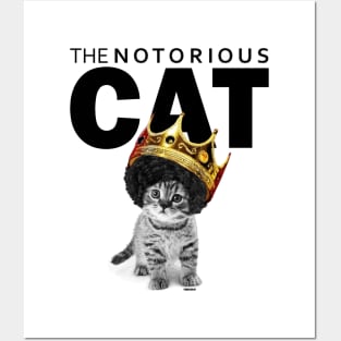 The notorius cat Posters and Art